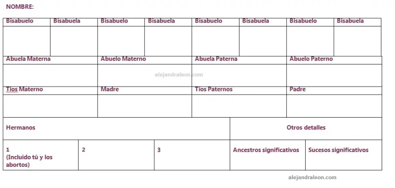 arbol familiar transgeneracional.webp