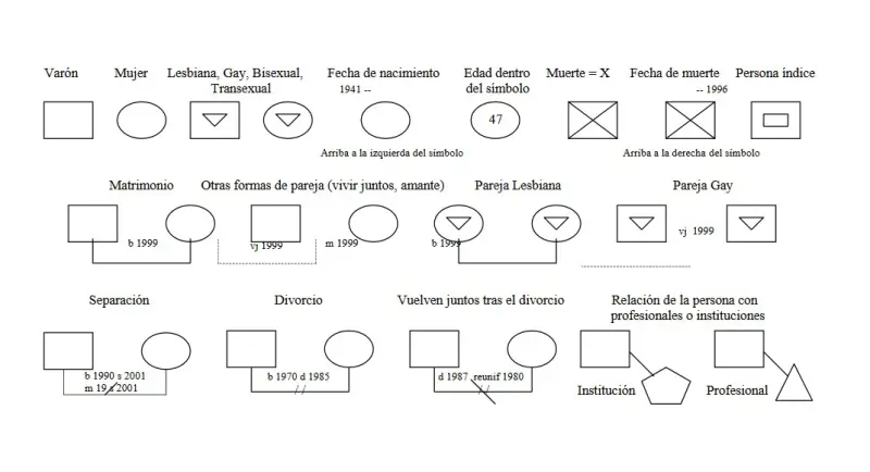 fusión Sui Mimar Cómo dibujar el árbol genealógico?