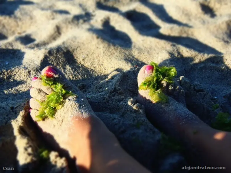 Vive el verano con Alejandra León