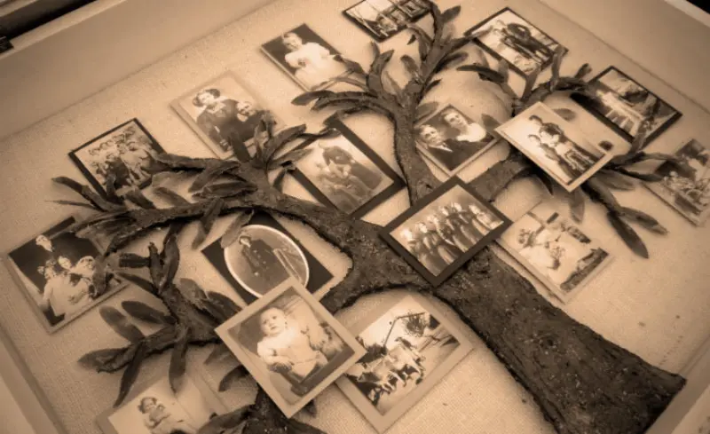 Constelaciones Familiares. Coco y la sanación con los ancestros