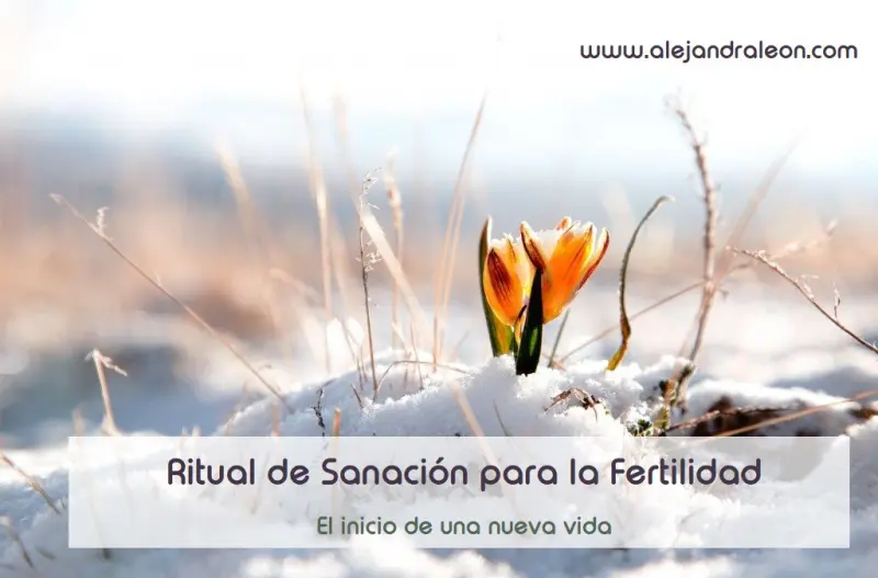 Terapia Holística_ Rituales fertilidad.webp